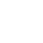 Iron Dog